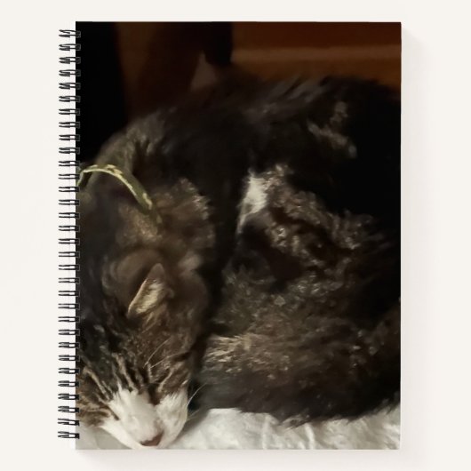 Keeno Perfect Circleスパイラルノート ノートブック (正面)