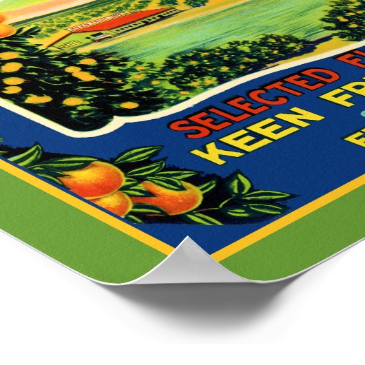 Keen's Pride  Frostproof Florida Label ポスター (角)