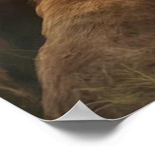 Keeper of the Dogs ポスター (角)