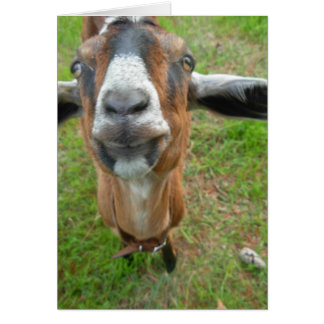 keepin私のギャップ! Mariahヤギカード