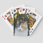 Keepsakeあなたの写真を追加Excellent Quality子猫 トランプ (裏面)