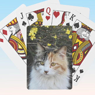 Keepsakeあなたの写真を追加Excellent Quality子猫 トランプ