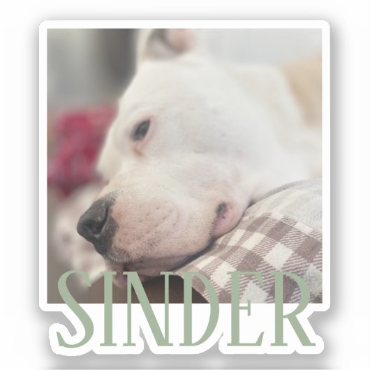 Keepsake写真パーソナライズされた シール (正面)