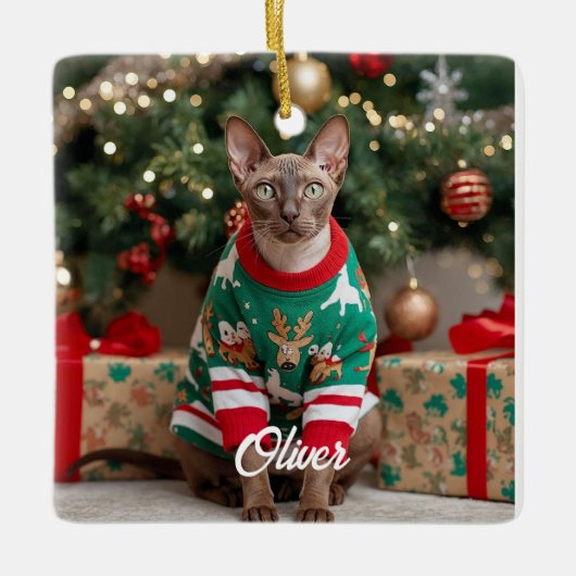 Keepsake Cornish Rex Cat Christmas Personalized  セラミックオーナメント (正面)