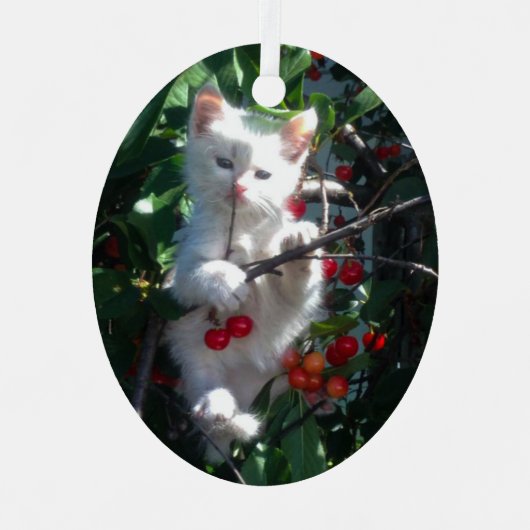 Keepsake Family猫写真 メタルオーナメント (正面)