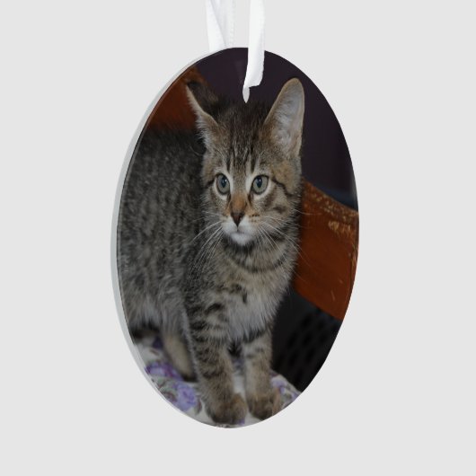 Keepsake Family Cat 2 Sided Photo オーナメント (正面)