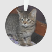 Keepsake Family Cat 2 Sided Photo オーナメント (正面)