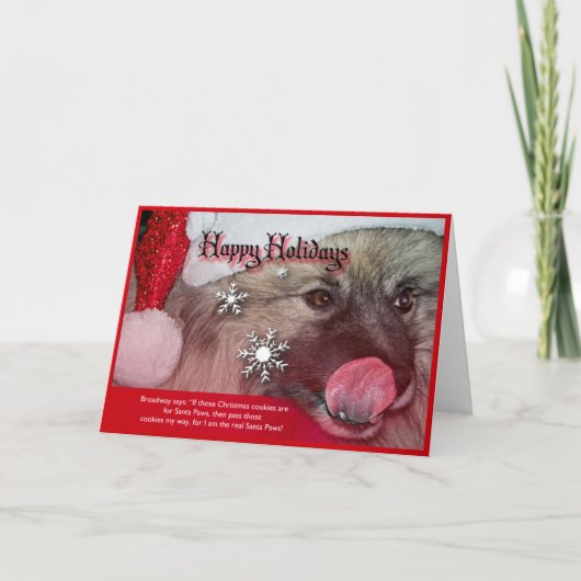 keeshondのクリスマスカード シーズンカード (正面)