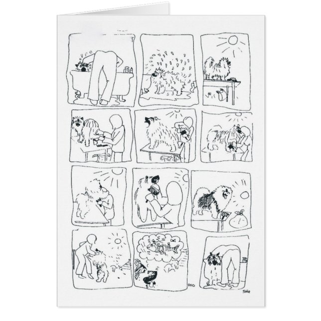 Keeshondの漫画Bathtime (正面)