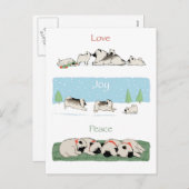 Keeshond愛喜びの平和|かわいいKeesiesクリスマス シーズンポストカード (正面/裏面)