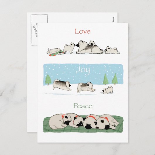 Keeshond愛喜びの平和|かわいいKeesiesクリスマス シーズンポストカード (正面/裏面)