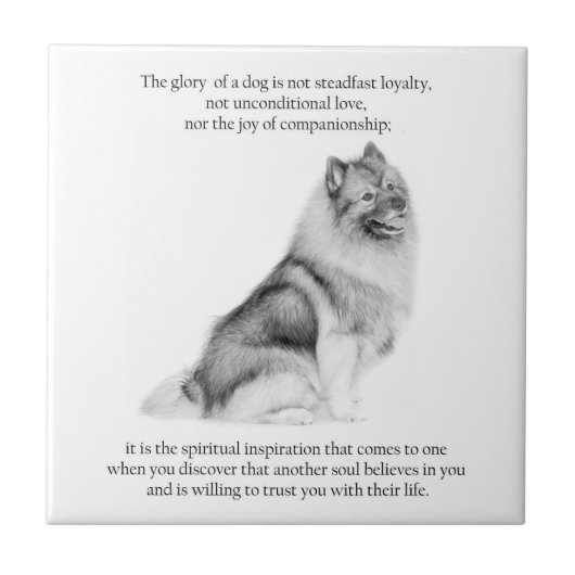 Keeshond タイル (正面)