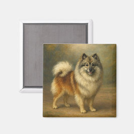Keeshond マグネット