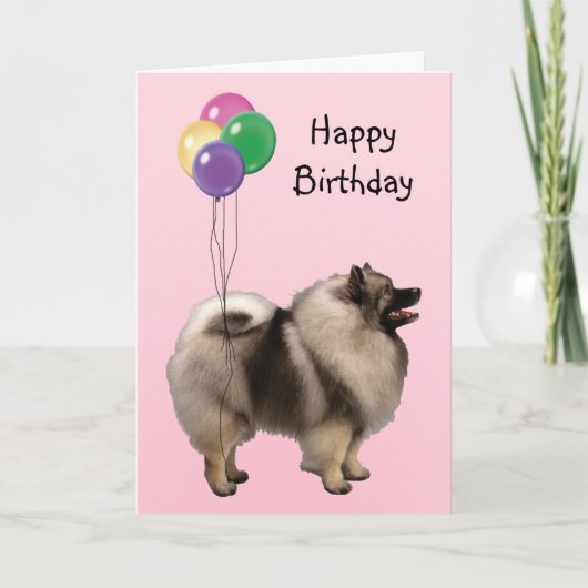Keeshond、誕生日の気球 カード (正面)