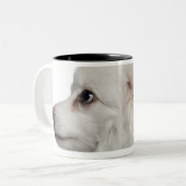 Keeshond (10歳)のクローズアップ ツートーンマグカップ (正面左)