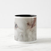 Keeshond (10歳)のクローズアップ ツートーンマグカップ (中央)