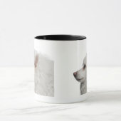 Keeshond (10歳)のクローズアップ マグカップ (中央)