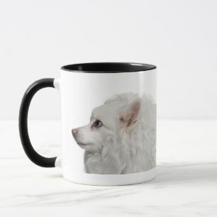 Keeshond (10歳)のクローズアップ マグカップ