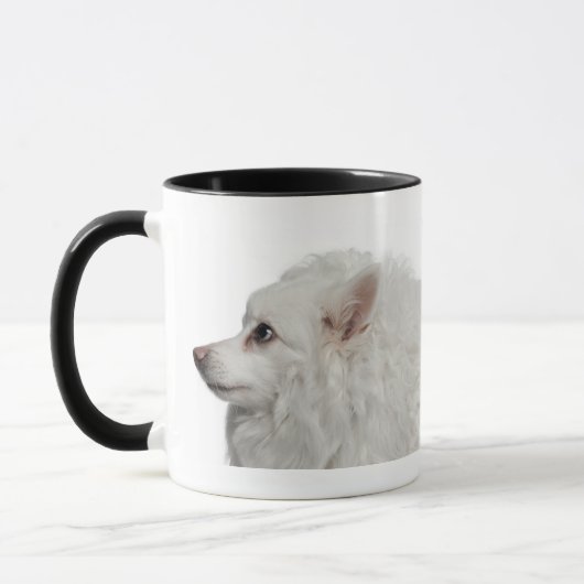 Keeshond (10歳)のクローズアップ マグカップ (左)