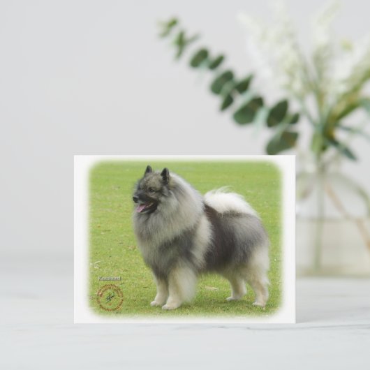 Keeshond 9J28D-01 ポストカード (スタンド正面)