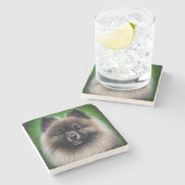 Keeshond Dog in St. Patrick's Day Dress ストーンコースター (横)