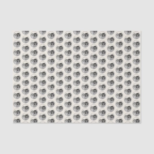 Keeshond Mom and Son's -絵画オリジナルドッグアート 薄葉紙 (正面)