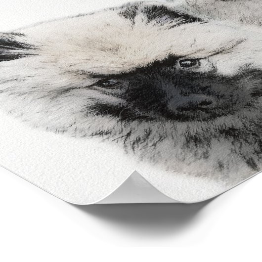 Keeshond Puppy Drawing - Cute Original Dog Art ポスター (角)