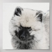 Keeshond Puppy Drawing - Cute Original Dog Art ポスター (正面)