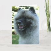 Keeshound カード (正面)