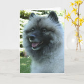 Keeshound カード (黄色い花)