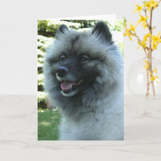 Keeshound カード (黄色い花)