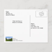 Kenai Fjords Snowy Mountainsありがとう ポストカード (裏面)