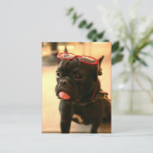 KenkenはがきA ポストカード (スタンド正面)