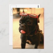 KenkenはがきA ポストカード (正面/裏面)