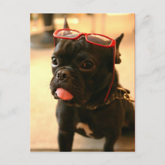 KenkenはがきA ポストカード