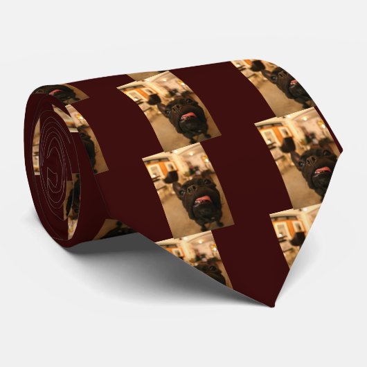 Kenken D ネクタイ (ロール)