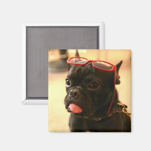 Kenken Magnets A マグネット (正面/裏面)