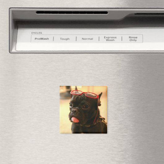 Kenken Magnets A マグネット (インサイチュ (食洗機))