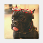 Kenken Magnets A マグネット (正面)