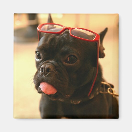 Kenken Magnets A マグネット (正面)