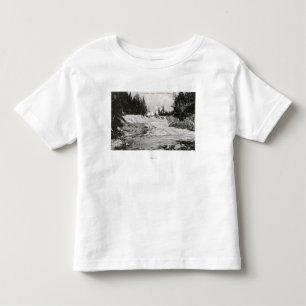 Kennebagoの滝の眺め トドラーTシャツ