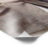 Kennedy Brothers、John、Robert & Ted フォトプリント (角)