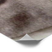 Kennedy Brothers、John、Robert & Ted ポスター (角)