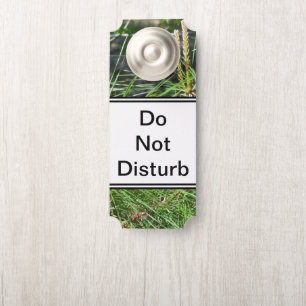 Kenneth Yoncichによる松針 ドアノブサイン