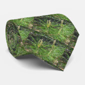 Kenneth Yoncichによる松針 ネクタイ (ロール)