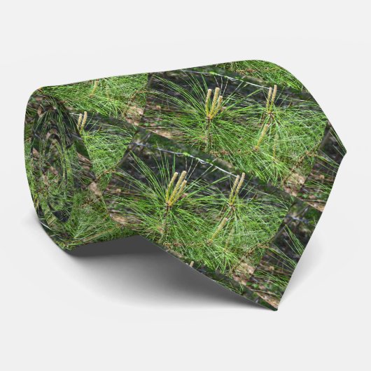 Kenneth Yoncichによる松針 ネクタイ (ロール)