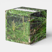 Kenneth Yoncichによる松針 フェイバーボックス (裏面サイド)