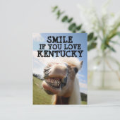 KENTUCKY HORSE Postcard ポストカード (スタンド正面)