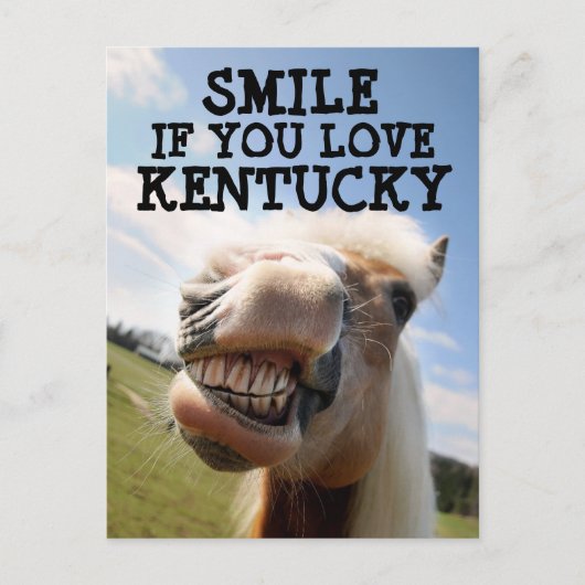 KENTUCKY HORSE Postcard ポストカード (正面)
