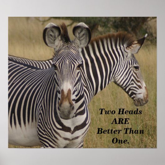 KENYA Zebrasの2つの頭部は1つのポスターよりも優れている ポスター (正面)